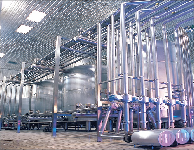 Process & Automation